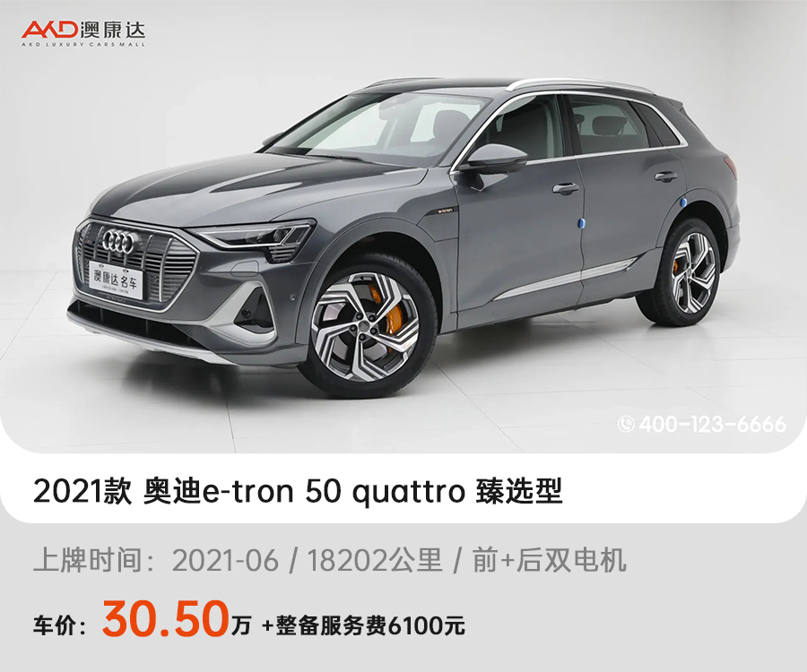 2021款 奥迪e-tron 50 quattro 臻选型
