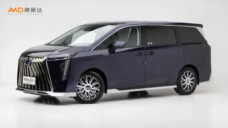 二手传祺 E9 宗师