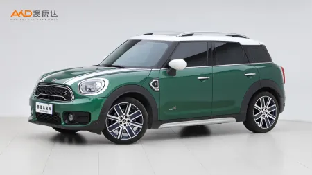 二手Mini COUNTRYMAN COOPER S ALL4艺术家