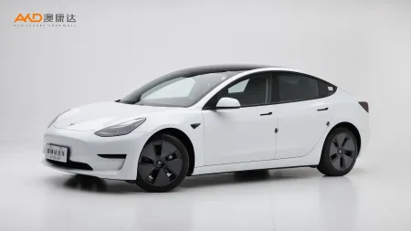 二手特斯拉Model 3 标准续航后驱升级版