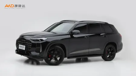 二手奥迪Q6 50 TFSI quattro 黑武士版6 座