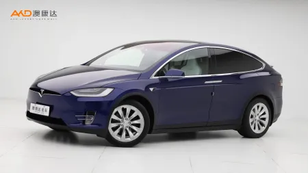 二手特斯拉Model X 100D 长续航版