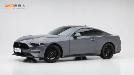 二手野马  EcoBoost