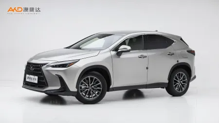 二手雷克萨斯 NX260 前驱创驰版