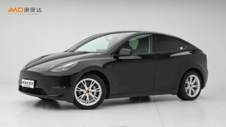 二手特斯拉Model Y 标准续航后驱版