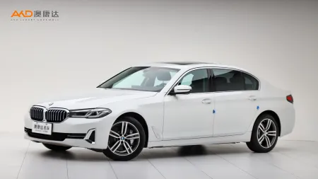 二手宝马530Li 领先型 豪华套装