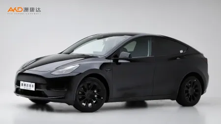 二手特斯拉Model Y 标准续航后驱版