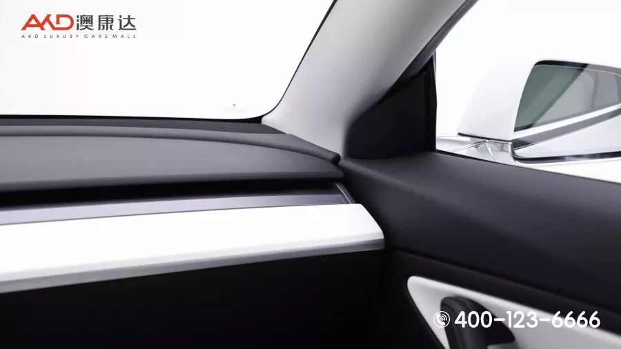 二手特斯拉Model 3 Performance高性能全轮驱动版图片2644500