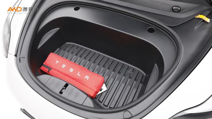 二手特斯拉Model 3 Performance高性能全轮驱动版图片2798350