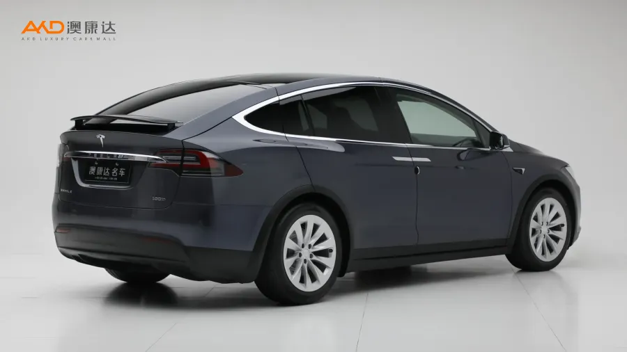 二手特斯拉Model X 100D 长续航版图片3007696