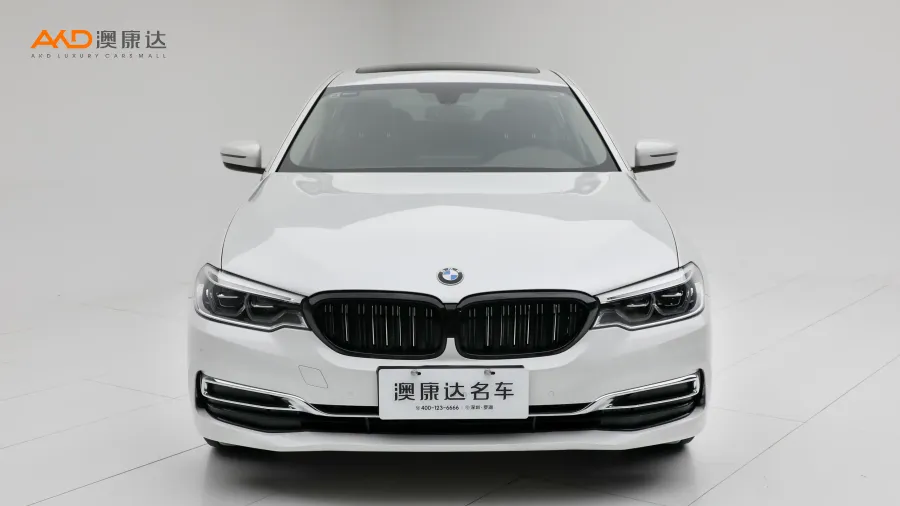 二手宝马530Li 领先型 豪华套装图片3058259