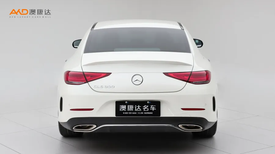 二手奔驰CLS300 豪华型图片3090302