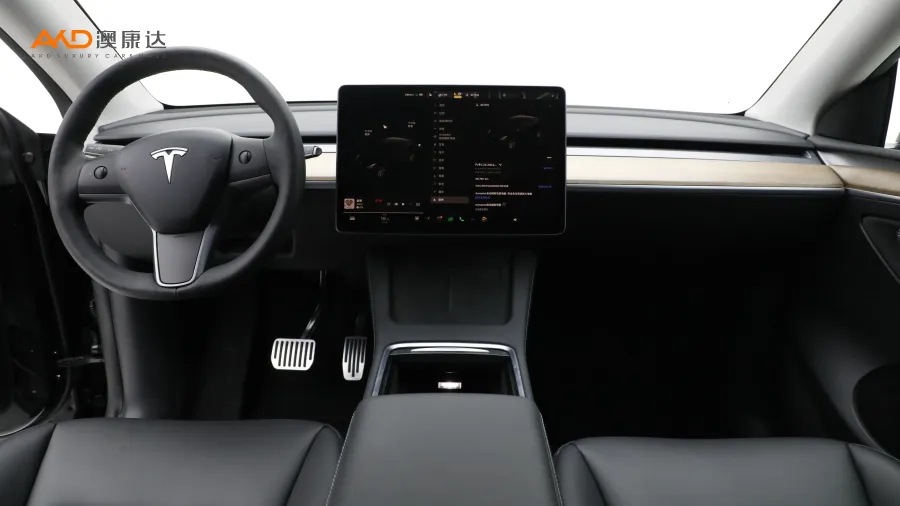 二手特斯拉Model Y 长续航全轮驱动版图片3097035