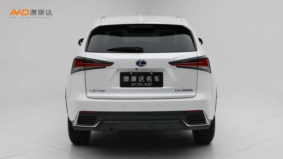 二手雷克萨斯NX300h 前驱 锋尚版图片3096535