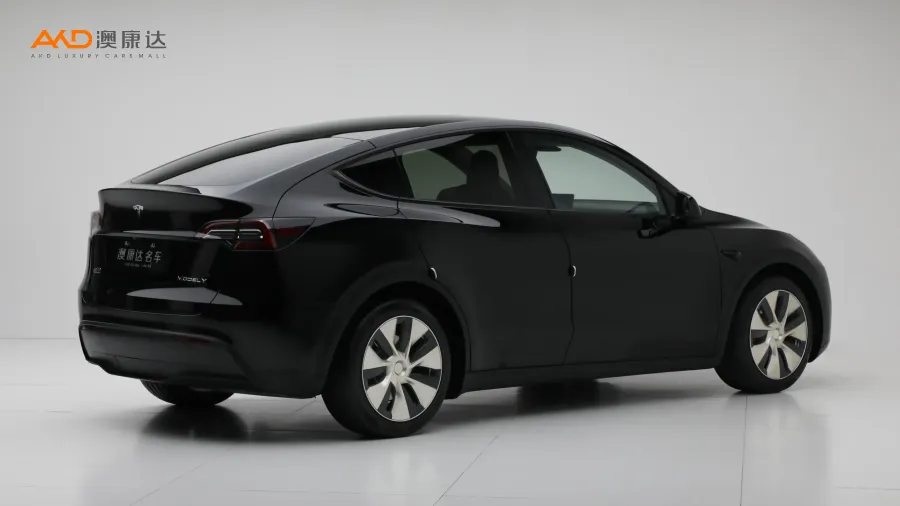 二手特斯拉Model Y 长续航全轮驱动版图片3097022