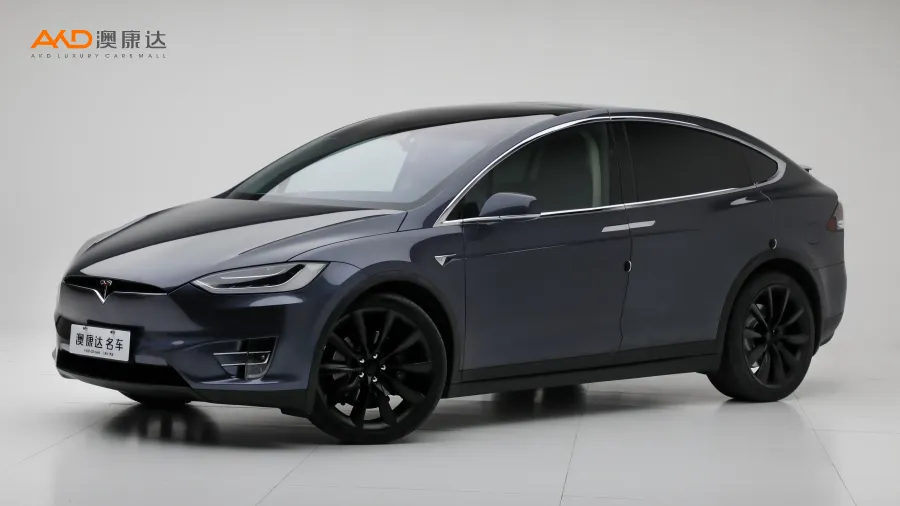 二手特斯拉Model X 100D 长续航版图片