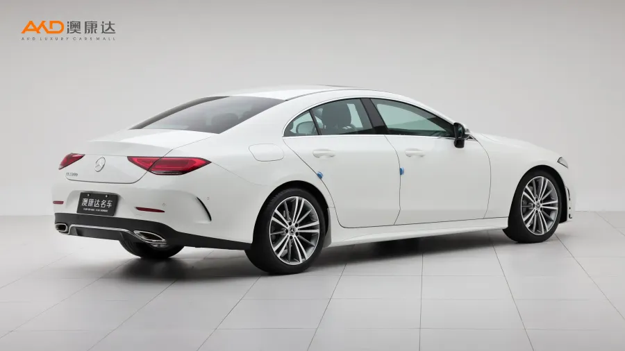 二手奔驰CLS300 动感型图片3114249