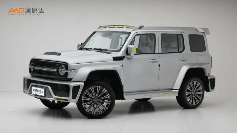 二手坦克300 2.0T 赛博坦克图片