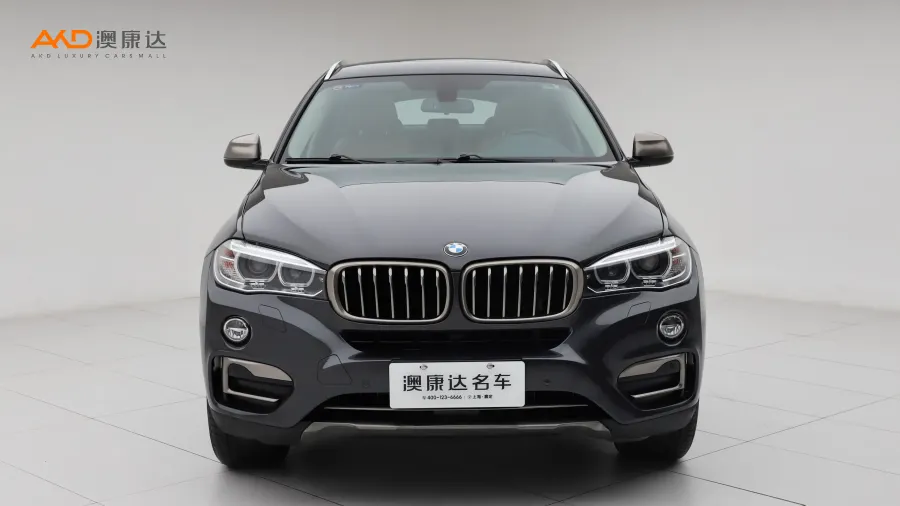 二手宝马X6  xDrive28i图片3359163