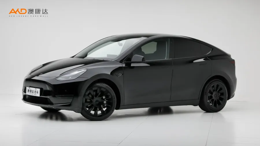二手特斯拉Model Y 改款 后轮驱动版图片