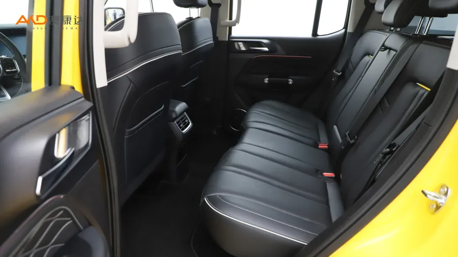 二手坦克300 2.0T 边境限定版图片3746609