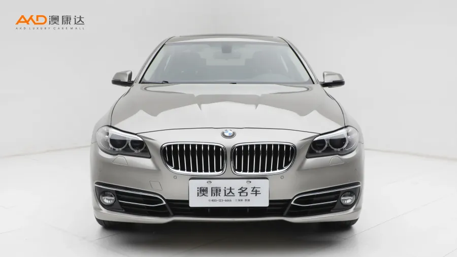 二手宝马525Li 豪华设计套装图片3810975