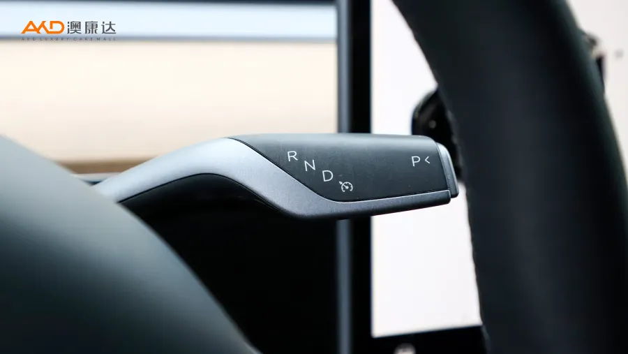 二手特斯拉Model Y 标准续航后驱版图片3817772