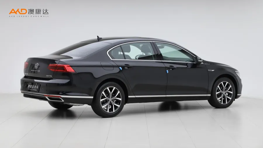 二手迈腾330TSI DSG 豪华型图片3816907