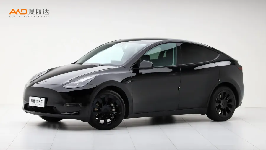 二手特斯拉Model Y 标准续航后驱版图片