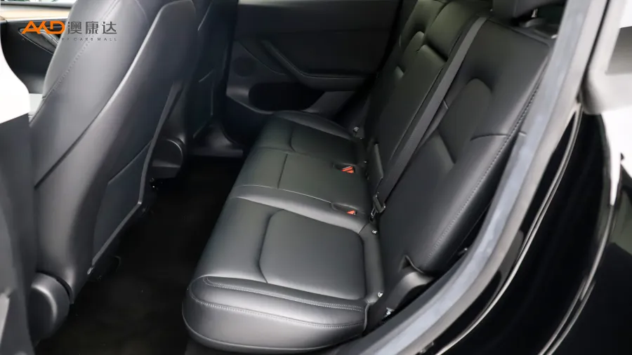 二手特斯拉Model Y 标准续航后驱版图片3817773