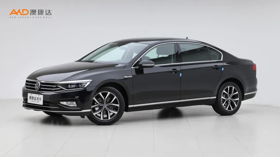 二手迈腾330TSI DSG 豪华型图片