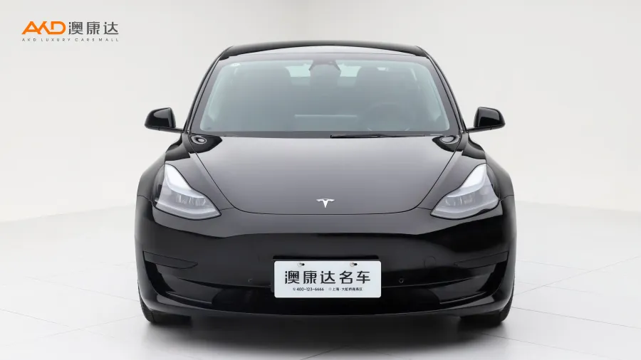 二手特斯拉Model 3 后轮驱动版图片3824944