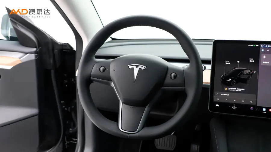 二手特斯拉Model 3 后轮驱动版图片3824962