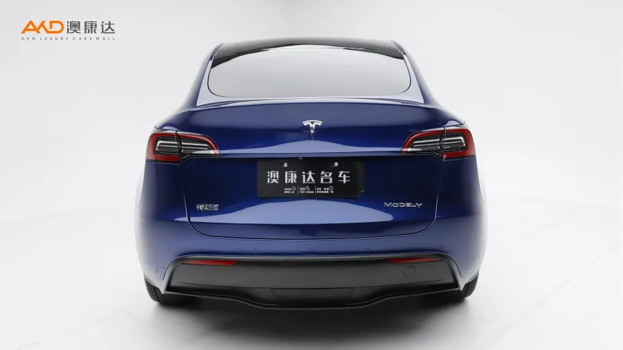 二手特斯拉Model Y 长续航全轮驱动版图片3827117