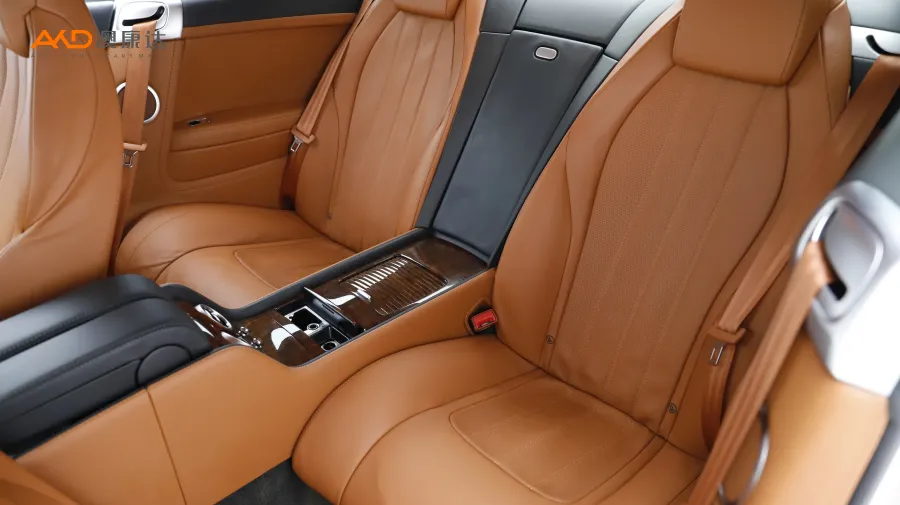 二手欧陆 6.0T GT W12  标准版图片3849927
