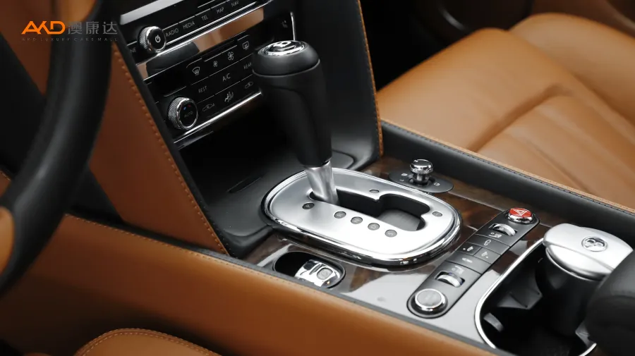 二手欧陆 6.0T GT W12  标准版图片3849922