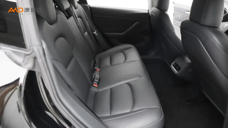 二手特斯拉Model 3 标准续航后驱升级版图片3851912