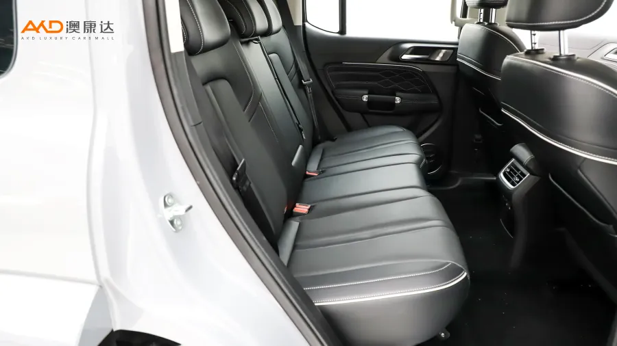 二手坦克300 城市版 2.0T 很有型图片3853719
