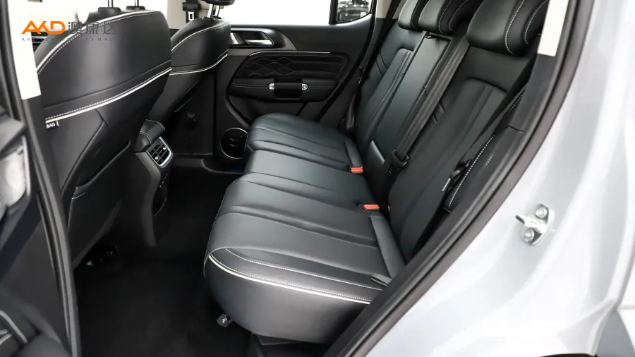 二手坦克300 城市版 2.0T 很有型图片3853713