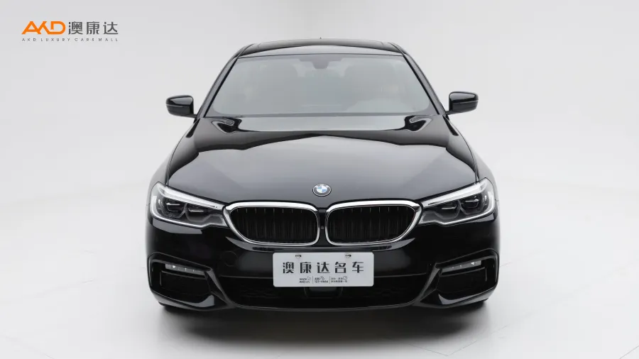 二手宝马530Li 尊享型M运动套装图片3858660
