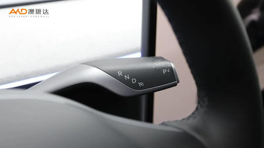 二手特斯拉Model Y 后轮驱动版图片3858293