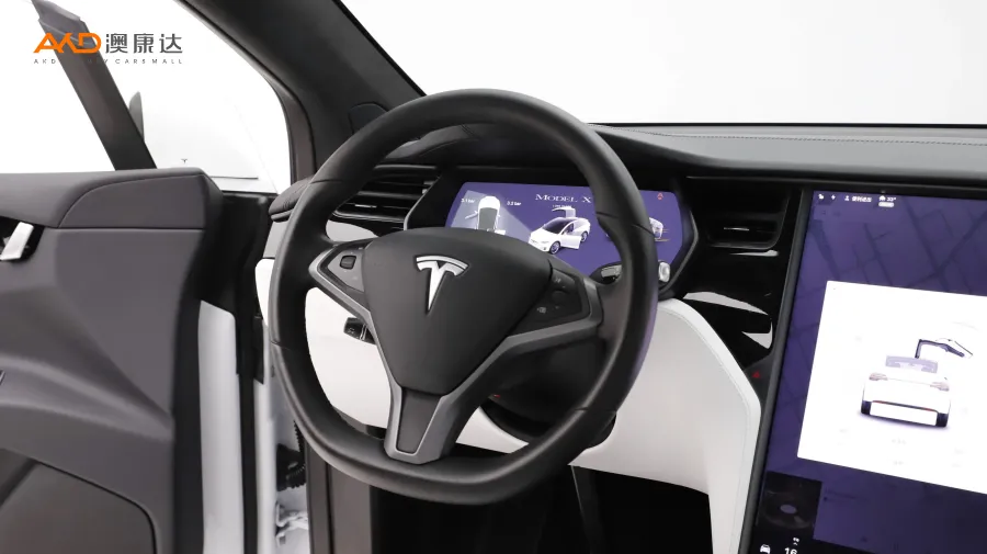 二手特斯拉Model X 长续航版图片3865764