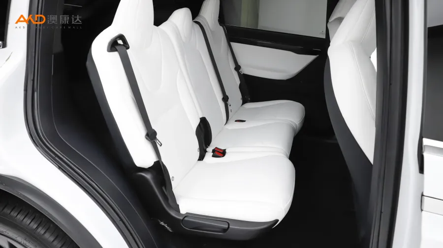 二手特斯拉Model X 长续航版图片3865762