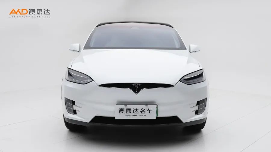 二手特斯拉Model X 长续航版图片3865745