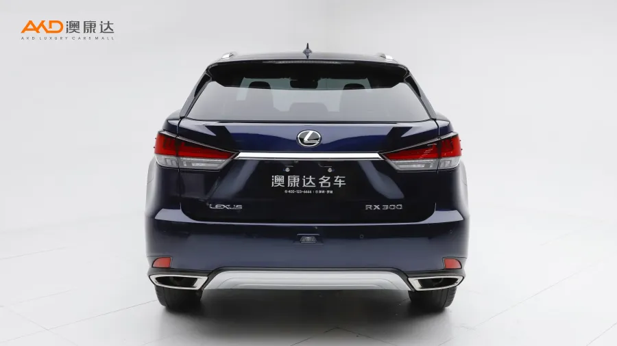 二手雷克萨斯RX300 改款 四驱典雅版图片3871863