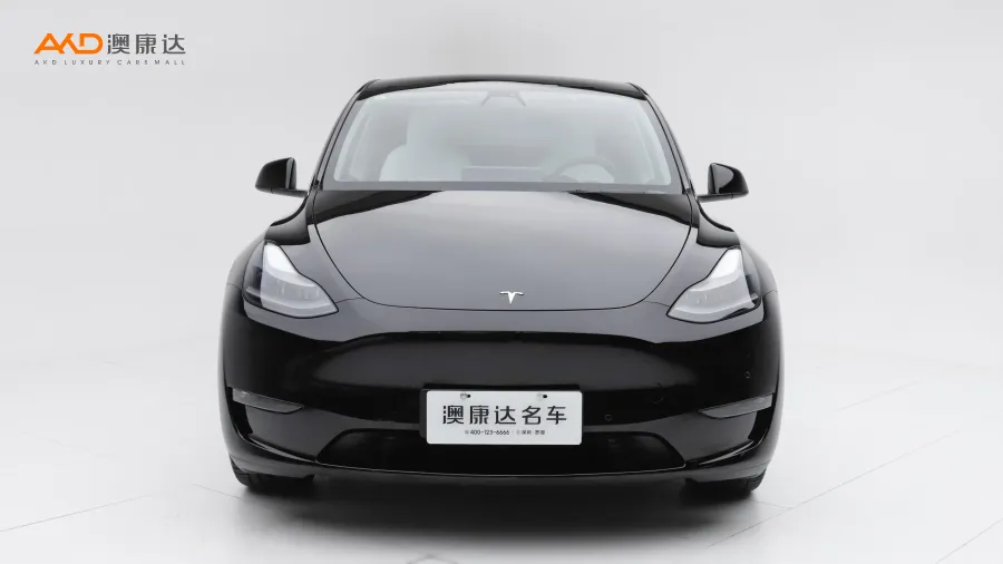 二手特斯拉Model Y 长续航全轮驱动版图片3872023