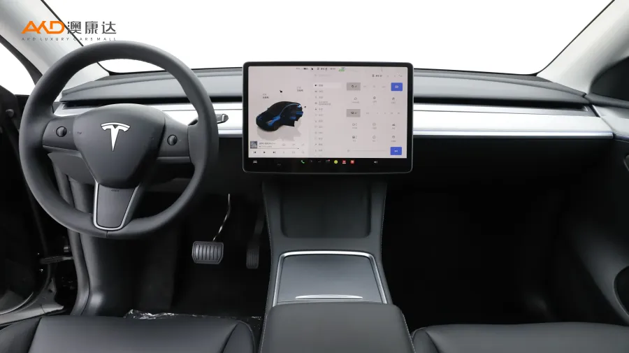 二手特斯拉Model Y 后轮驱动版图片3873730