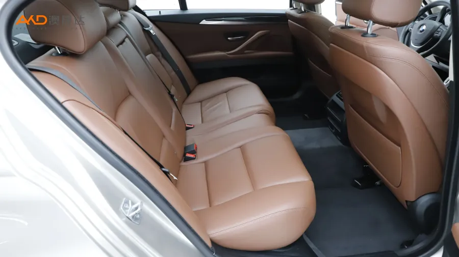 二手宝马528Li xDrive领先型图片3873979