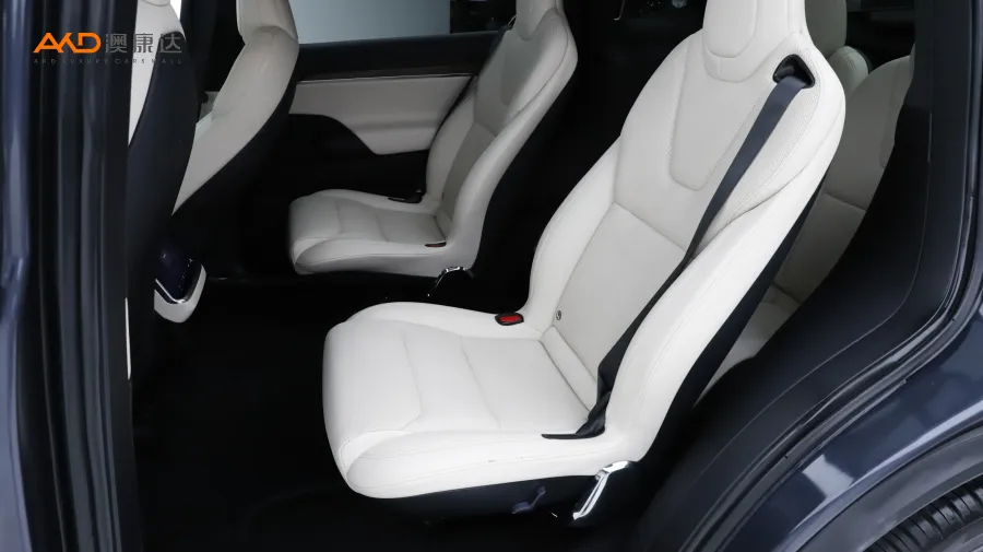 二手Model X 双电机全轮驱动版图片3884898