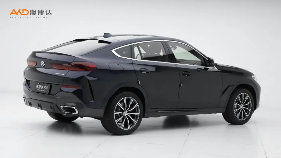 二手宝马X6 xDrive30i M运动套装图片3894105
